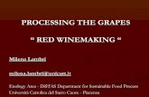 PROCESSING THE GRAPES “ RED WINEMAKING · based on fermentation rate ... fermenting juice from the bottom of the tank ... Yellow-orange Deep yellow - orange O 2 Degradated