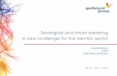 Smartgrids and smart metering A new challenge for …smartgrid.epri.com/doc/ICCS_Summit/C1.2_Bravo_GNF-EPRI.pdf · Smartgrids and smart metering A new challenge for the electric sector