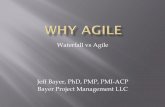 Waterfall vs Agile - PMI Austin Chapterpmiaustin.org/images/downloads/February_2016... · Waterfall vs Agile Jeff Bayer, PhD, PMP, PMI-ACP Bayer Project Management LLC History of