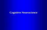Methods in Cognitive Neuroscience I - Karolinska … · Exploring Brain/Behavior relations Psychology Cognitive Neuroscience Computational Sciences / Artificial intelligence Neuroscience