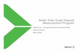 Boiler Tube Scale Deposit Measurement Program - … · – A delay of one or two years on a dirty boiler can result in major tube damage. Type of Boiler (RB vs PB) and use ... Boiler