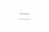 Mutation - ULisboabmg.fc.ul.pt/Disciplinas/GBM/aulas/8MutacRepar.pdf · Mutation might also occur during DNA replication Wilde-type Mutant. Two basic classes of mutations based on