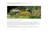 SARAH ORNE JEWETT’S BROAD-AISLE GARDEN, …theller/soj/ess/wetzel-SOJ BAG-2017.pdf · rectangular plot labeled “Garden” near the 1774 dwelling. ... Subtle scent. Bulbs collected