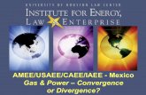 AMEE/USAEE/CAEE/IAEE - Mexico Power Convergenceor... · Michelle Michot Foss Created Date: 11/3/2003 5:32:04 PM ...