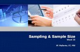 Sampling & Sample Size - Rof's Blog · Convenience Sampling Judgmental Sampling Quota Sampling Snowball Sampling Systematic Sampling Stratified ... Teknik Sampling Jumlah Sampel 3.3