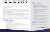 LEAN SIX SIGMA BLACK BELT - juran.com · LEAN SIX SIGMA BLACK BELT OPEN ONLINE PROGRAM Juran is authorized by the International Association for Continuing Education and Training (IACET),