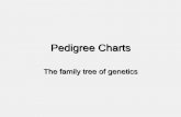 Pedigree Charts - Centre for Distance Learning and … Charts.pdf · Summary Pedigrees are family trees that explain your genetic history. Pedigrees are used to find out the probability
