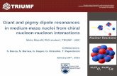 Giant and pigmy dipole resonances in medium-mass …admin.triumf.ca/docs/seminars/Sem7171734202-4500-1.Miorelli-NP... · • Future insight from RCNP and JLAB ... • The N3LO NN