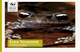 GREATER MEKONG REPORT - WWF Deutschland · GREATER MEKONG REPORT Extra Terrestrial Extraordinary new species discoveries in 2011 from the Greater Mekong