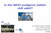 Is the WHO analgesic ladder still valid? - … in their efforts to find pleasure and meaning in their lives. Rodin 1898 Finding that pain management is inadequate in most of the world
