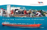Growing Indonesian Cabotage - BLTblt.co.id/data/FinanceData/Annual_Report/BLTA AR 2010.pdf · VISI DAN MISI | Vision and Mission 01 R WAYAT SINGKAT PERUSAHAAN | Company at Glance