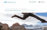 A Roadmap to Agility - Capgemini€¦ · A Roadmap to Agility ... using software as a key competitive weapon in how they conduct business. ... achieving these kinds of results requires