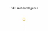 SAP Web Intelligence - Process Partner: Wir setzen ... · Some key facts about WebI today … ... BW manual prompt entry including BW pattern matching ... Best Practices to Design