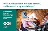 What is political voice, why does it matter, and how … · A Development Progress Discussion Paper Alina Rocha Menocal May 2014 What is political voice, why does it matter, and how