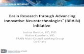 Brain Research through Advancing Innovative Neurotechnologies (BRAIN ... · Brain Research through Advancing Innovative Neurotechnologies ... Applications Scored Score Better than
