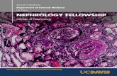NEPHROLOGY FELLOWSHIP - … · nephrology fellowship 3 . THE FELLOWSHIP . The nephrology fellowship at UC Davis Medical Center is a 2-year, ACGME-accredited program that is primarily