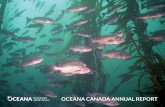 OCEANA CANADA ANNUAL REPORT€¦ · than almost anyone, understand the economic, ecological and social cost of fisheries collapse. Canada has stopped the worst cases of overfishing,