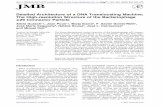 Detailed Architecture of a DNA Translocating …bilbo.bio.purdue.edu/~viruswww/Rossmann_home/publications/pdfs/4… · Detailed Architecture of a DNA Translocating Machine: The High-resolution