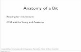 Anatomy of a Bit - University of California, Daviscsc.ucdavis.edu/~chaos/courses/ncaso/Lectures/Lecture20Slides.pdf · Anatomy of a Bit Reading for this ... CMR articles Yeung and