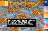 A crystal clear view of DNA damage: 7. Skeletons of …€¦ · Thanks to: Diarmaid Ferriter, Pat Guiry, Ann Lavan, Damien McLoughlin, Regina Ui Chollatain In the compilation of this