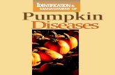 MANAGEMENT OF Pumpkin Diseases - Purdue … · Disease Characteristics Pathogen survival: • The downy mildew fungus does not survive the winter locally. Instead, it survives as