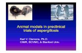 Animal models in preclinicalAnimal models in preclinical ... · Animal models in preclinicalAnimal models in preclinical ... • Examine combinations of antifungal drugs ( AmBi ABLC(