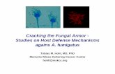 Cracking the Fungal Armor - Studies on Host Defense ... · responses by antifungal therapy ... Effects of Echinocandin Drugs onEffects of Echinocandin Drugs on ... Microsoft PowerPoint