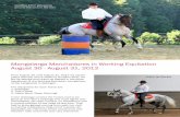 Mangalarga Marchadores in Working Equitation August … equitation.pdf · a worker change of galopp 2. riding into an „L“ and ringing a bell and ... The bull has to be brought