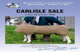 CARLISLE SALE - New Bluefaced Leicester · CARLISLE SALE Friday 8th October 2010 “The Future’s Bright, the Future’s Blue 7/B001 Champion Carlisle Bred and Exhibited by T W Armstrong,