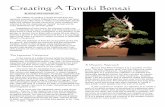 Creating A Tanuki Bonsai - Suncoast Bonsai Society · By Randy Clark Charlotte, NC Creating A Tanuki Bonsai A Western Approach But are they fake? Perhaps it is a question of view-point.
