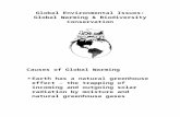 Global Warming - University of Kentuckytmute2/GEI-Web/GEI/GEI10/GEI 2010 lect…  · Web viewGlobal Warming & Biodiversity ... leakage of pipelines and refineries ... World Bank)