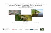 Monitoring and Assessing Marsh Habitat Health in …ourniagarariver.ca/wp-content/uploads/2016/03/Monitoringassessing... · Monitoring and Assessing Marsh Habitat Health in the ...
