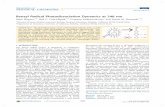 Benzyl Radical Photodissociation Dynamics at 248 nm · Benzyl Radical Photodissociation Dynamics at 248 nm ... the combustion of toluene, ... benzyl radical can isomerize to the tropyl
