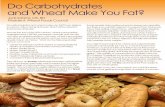 Do Carbohydrates and Wheat Make You Fat? · Do carbohydrates and wheat make you fat? If you believe in science, follow along and learn about all the research ... increase harmful