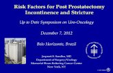 Risk Factors for Post Prostatectomy Incontinence and Stricture · Risk Factors for Post Prostatectomy Incontinence and Stricture ... Up to Date Symposium on Uro-Oncology December