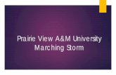 Prairie View A&M University Marching Storm · Prairie View A&M University Marching Storm. ... of the university marching band program was the Prairie View “Co - Eds,” an all female
