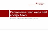 Ecosystems, food webs and energy flows · Ecosystems, food webs and energy ... • To review energy flows and the importance of ... As ecosystems are defined by the network of interactions