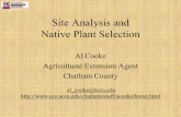 Site Analysis and Native Plant Selection - Nc State … · 2015-03-25 · Site Analysis and Native Plant Selection Al Cooke Agricultural Extension Agent ... if one seed grows to maturity,