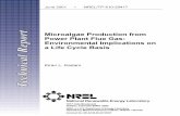Microalgae Production from Power Plant Flue Gas: … · Microalgae Production from Power Plant Flue Gas: Environmental Implications on a Life Cycle Basis June 2001 Ł NREL/TP-510-29417