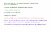 citric acid cycle lectures/Biochemistry... · 2014-06-30 · Historical perspective: 1930: Elucidation of Glycolysis Study of oxidation of glucose in muscle, addition of Malonate