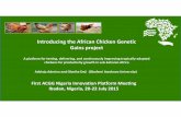 Introducing the African Chicken Genetic Gains project · PI - Prof E.B. Sonaiya Co-PIs- Prof (Mrs) A.O. Adebambo a k n i y e d A . A . I f o r -P NPC - Dr Oladeji Bamidele SNCs: Zone