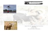 Montana Cooperative Wildlife Research Unit Report... · Main Hall 116 Forestry 311C Missoula, MT 59812 Missoula, MT 59812 Unit Staff Mike ... Pilot Study Bio-fences/wolves Central
