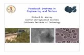 Feedback Systems in Engineering and Nature · uncertainty in complex systems ... •Many molecular mechanisms for biological organisms are ... Feedback Systems in Engineering and