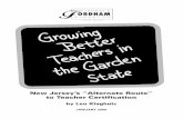 New Jersey’s “Alternate Route” to Teacher Certificationedex.s3-us-west-2.amazonaws.com/publication/pdfs/klagholz_7.pdf · Numbers of NJ Public School Districts By District Factor
