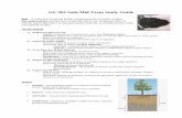 GC 202 Soils Mid-Term Study Guidemichal76/classstudyguides/Soil Formation.pdf · GC 202 Soils Mid-Term Study Guide Soil – A collection of ... which result from the downslope movement