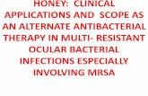 HONEY: CLINICAL APPLICATIONS AND SCOPE AS …€¦ · honey: clinical applications and scope as an alternate antibacterial therapy in multi- resistant ocular bacterial infections