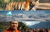 GUARDIANS OF THE WILD - s3.amazonaws.com · Guardians of the Wild Project helps ... and help is just a phone call away. Dense swamps, marshlands, ... classic tale “Jungle Book.”