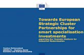 Towards European Strategic Cluster Partnerships …kisi.deu.edu.tr/sedef.akgungor/Industrial Modernisation Platform.pdf · Towards European Strategic Cluster Partnerships for smart