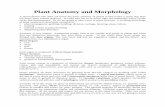 Plant Anatomy and Morphology - vedicilluminations.com · Plant Anatomy and Morphology A horticulturist who does not know the basic anatomy of plants is like is like a nurse that does