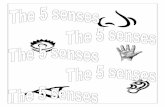 The 5 senses - GWS Joeys 5 senses.pdf · Theme The Five Senses ... then lift over your head into a triangle Kentucky Fried Chicken Chicken wings ... Joey come in close, ...